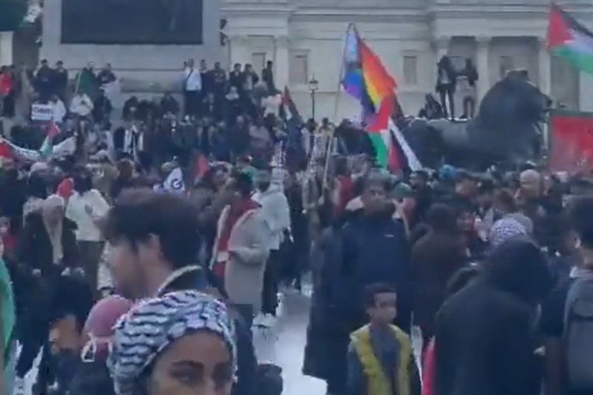 An LGBT+ flag flying at a pro-Palestine protest