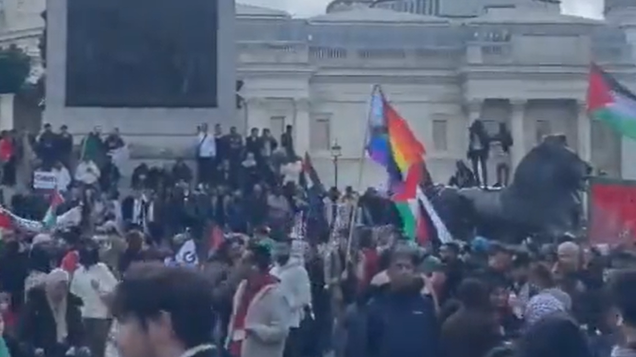 An LGBT+ flag flying at a pro-Palestine protest