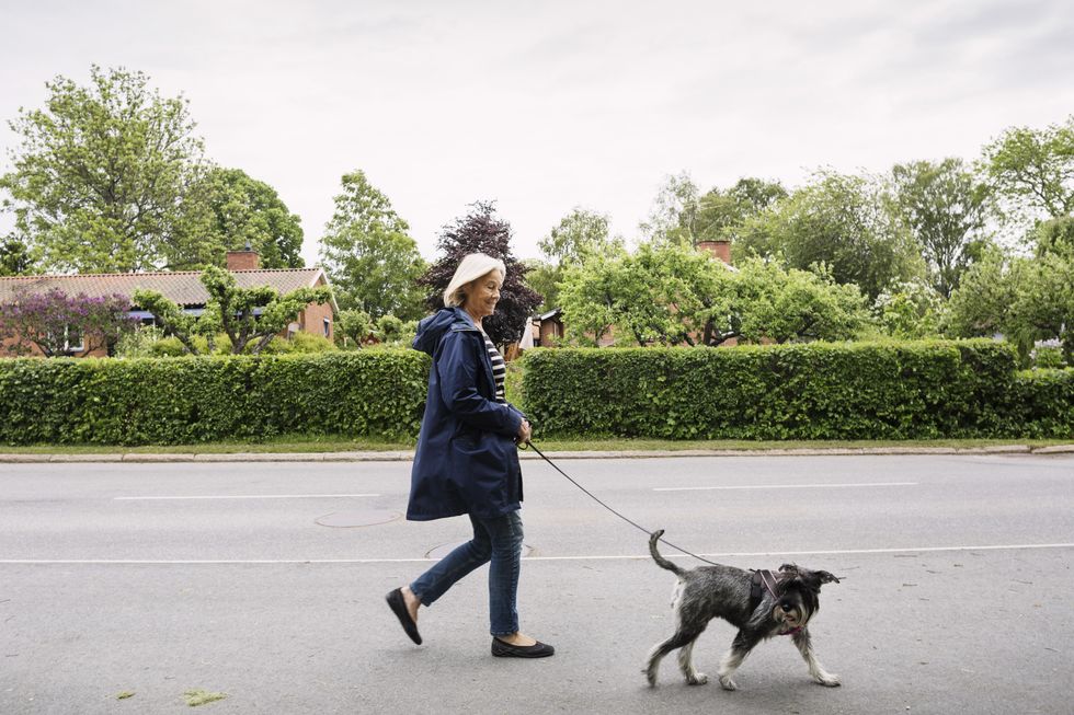 An older woman wearing a navy jacket walking her dog through a suburban, leafy area