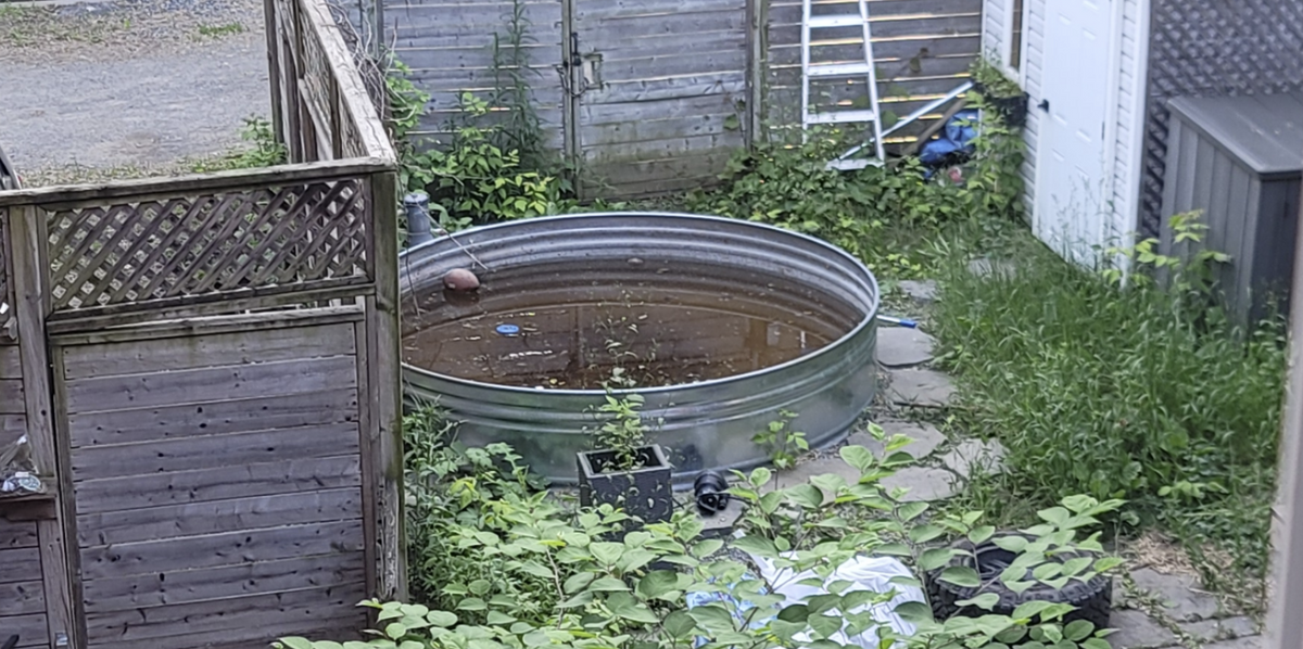 NextImg:Neighbour publicly shames state of garden next door as pictures and horrifying story shared online