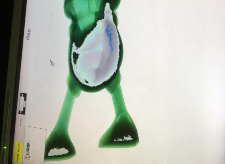 An x-ray of the statue, showing the cocaine residue inside