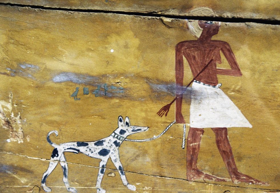 Ancient dog and human