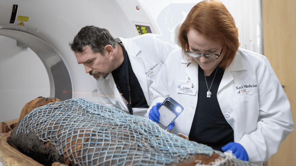 Ancient Egyptian mummy explored