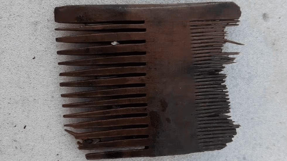 Ancient medieval comb found on Svaelget 2