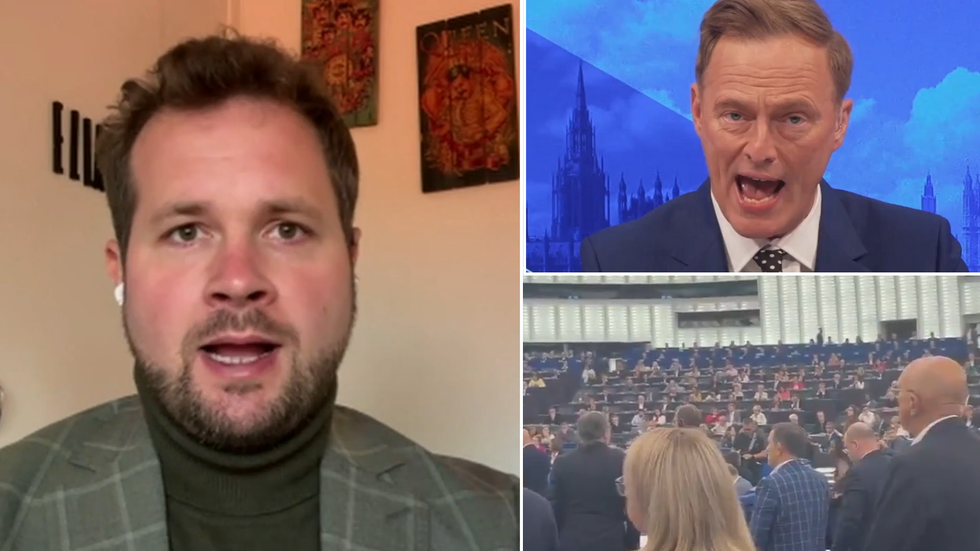 Anders Vistisen, Martin Daubney and European Parliament
