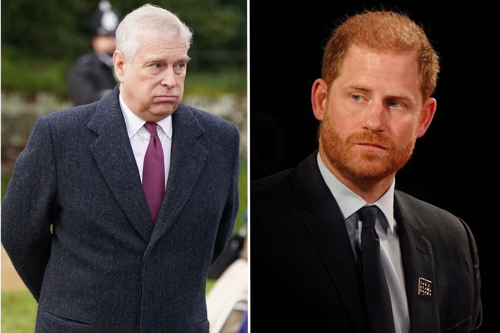 Andrew Mountbatten-Windsor and Prince Harry