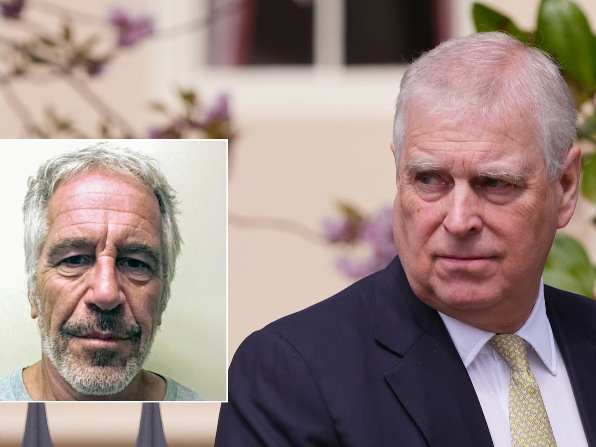 Andrew Mountbatten-Windsor, Jeffrey Epstein