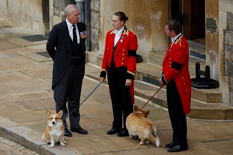 Andrew Mountbatten-Windsor, Queen's corgis
