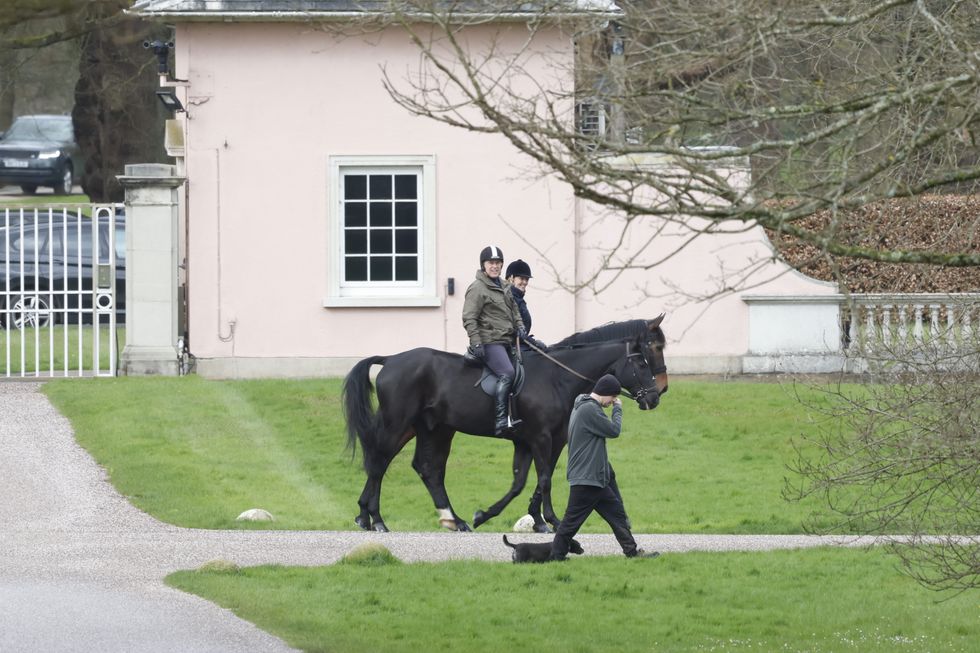 Andrew Mountbatten-Windsor