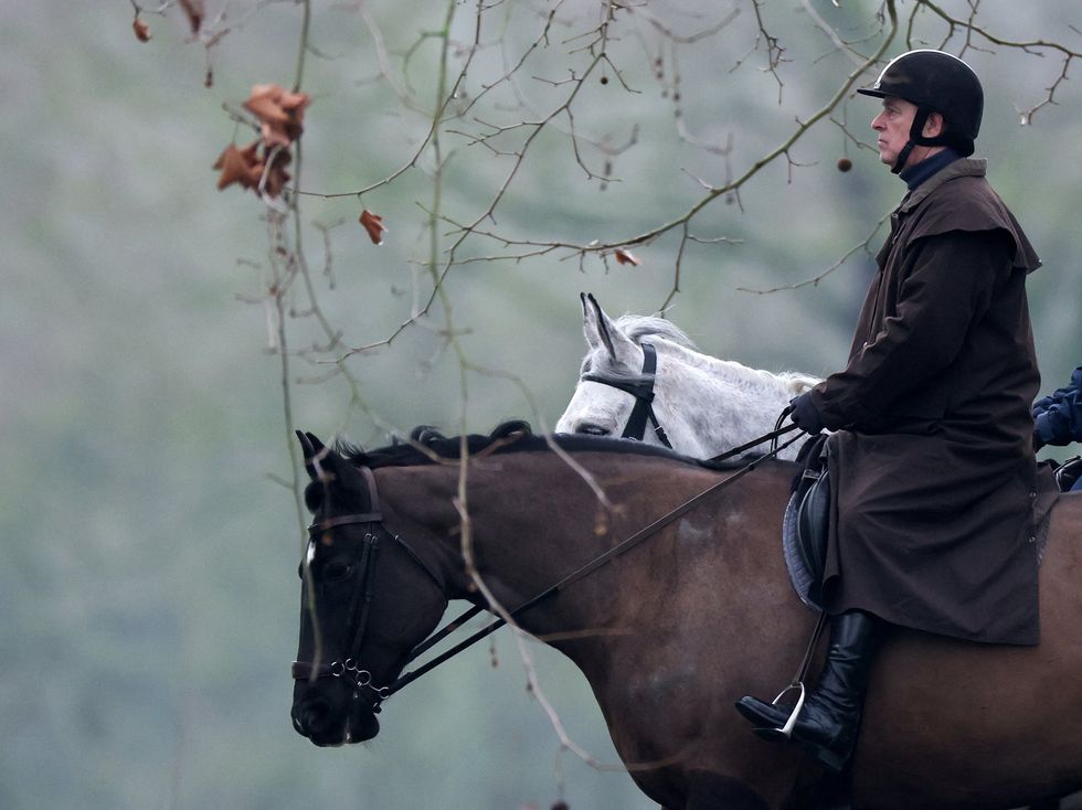 Andrew Mountbatten-Windsor