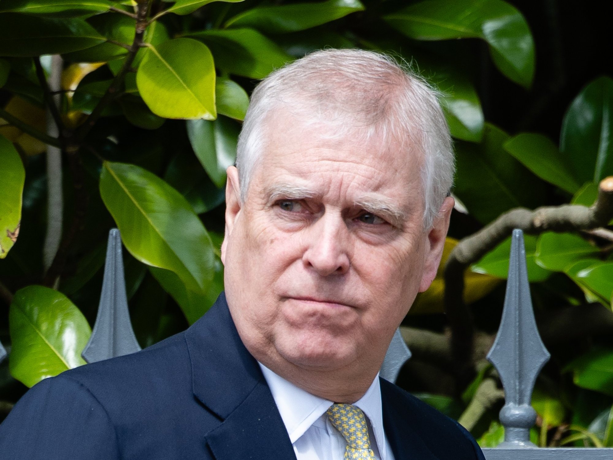 Andrew Mountbatten-Windsor