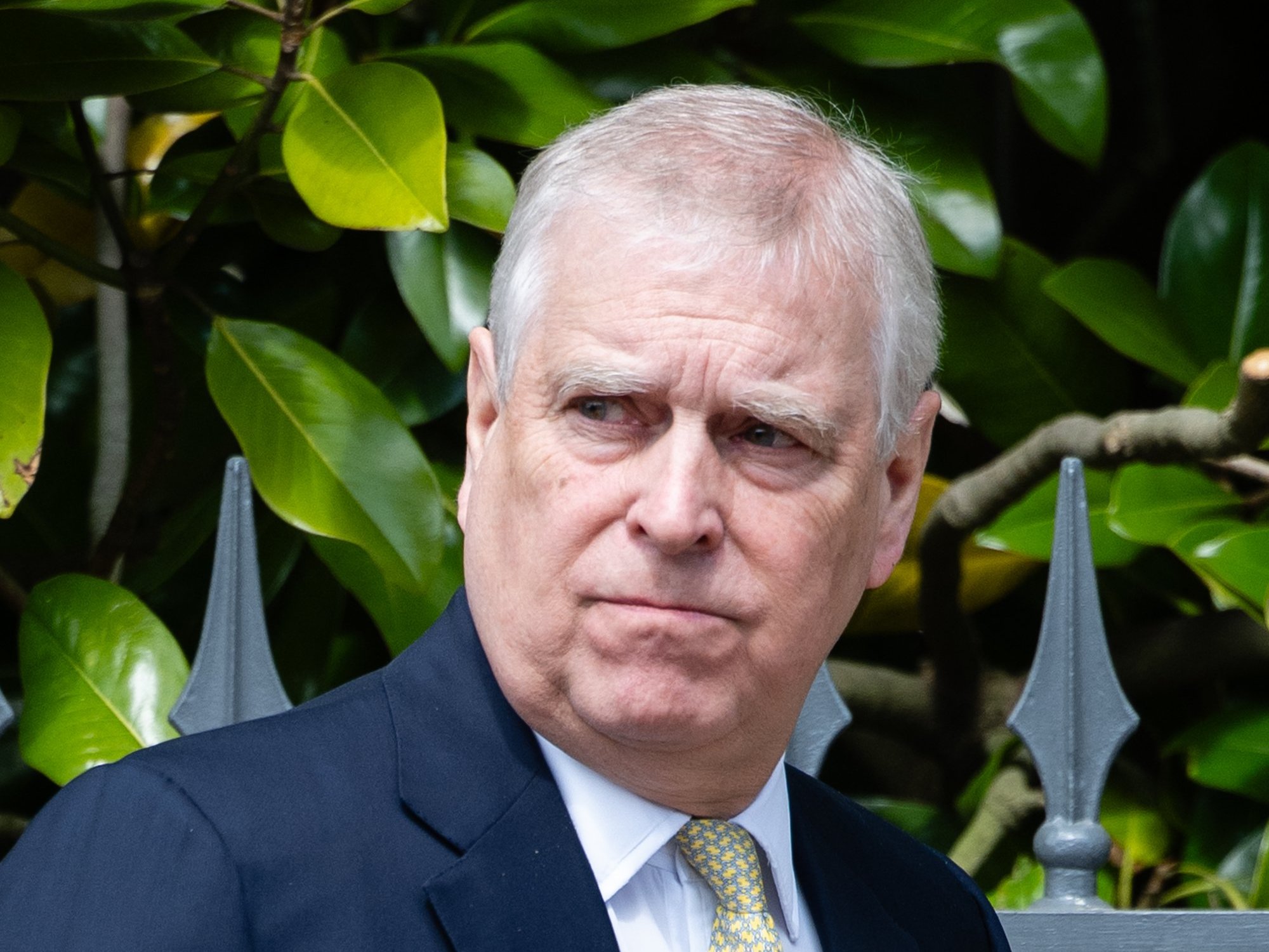 Andrew Mountbatten-Windsor