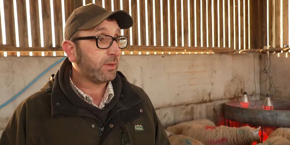 Spring Statement: Farmer despairs at ‘sticking plaster’ U-turn ahead of announcement Spring Statement: Farmer despairs at ‘sticking plaster’ U-turn ahead of announcement
