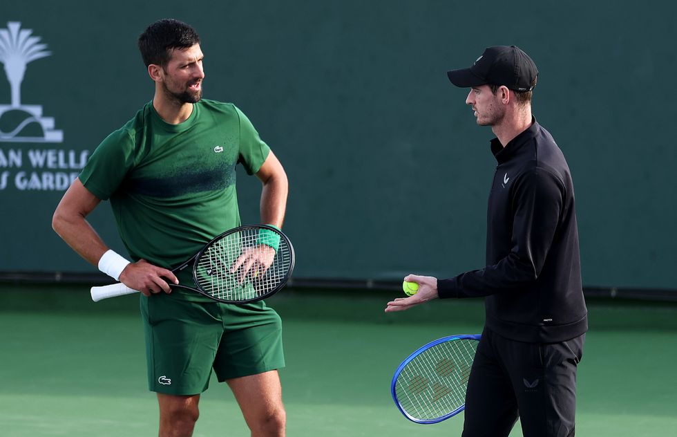 Andy Murray Novak Djokovic