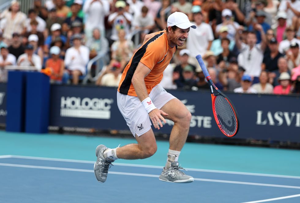Andy Murray screamed in agony after the injury
