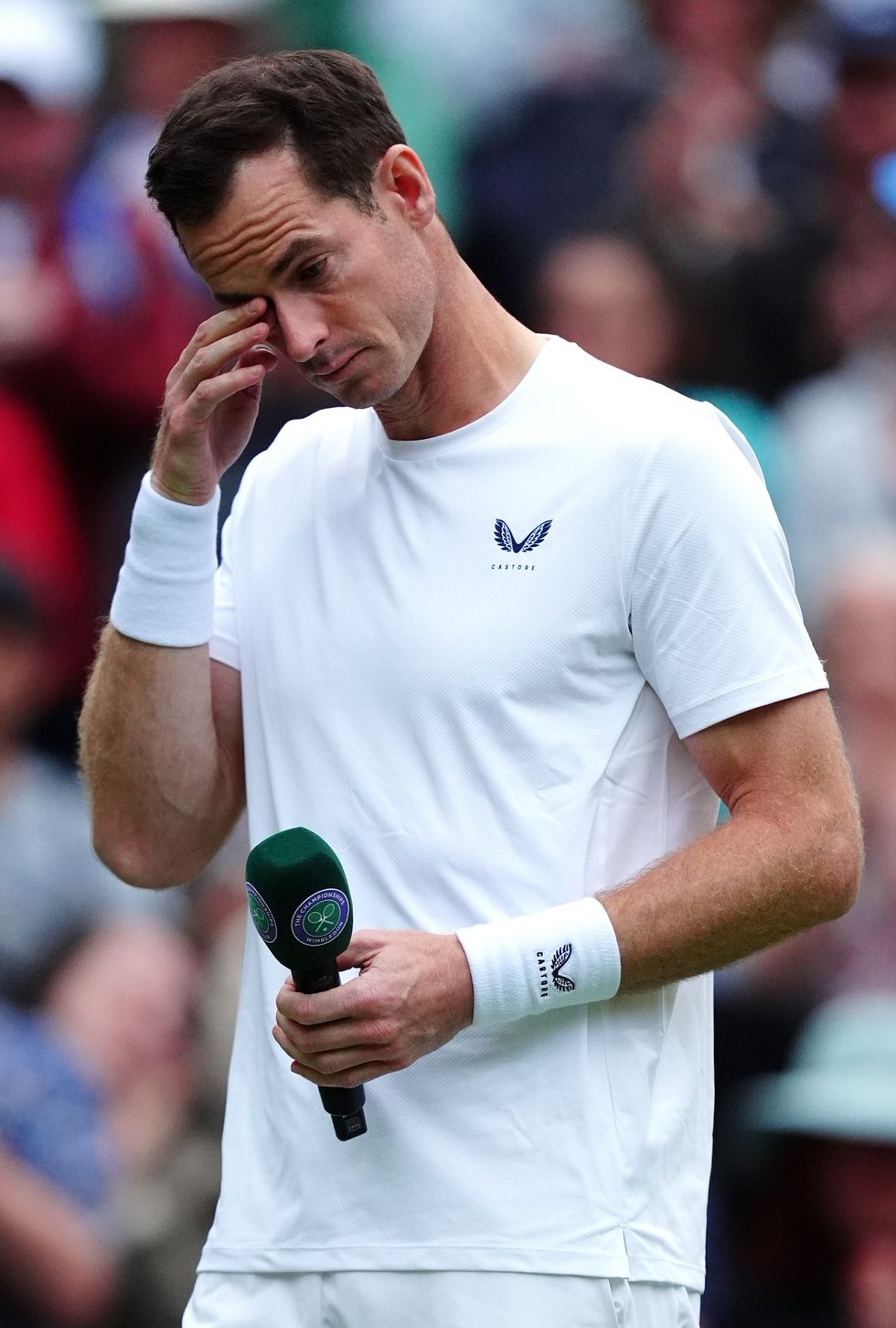 Andy Murray Wimbledon