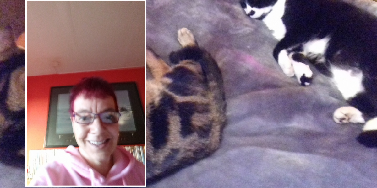 NextImg:Neighbour told to 'move out or go to prison' after luring away next door's cats