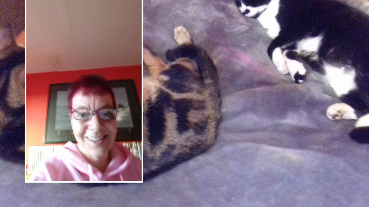 Angela Montgomery and cats