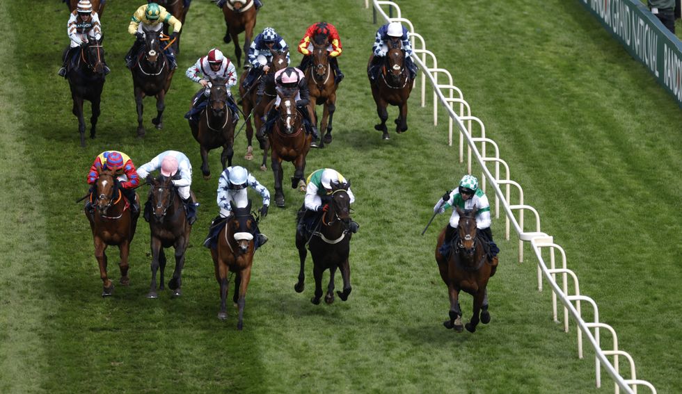 Animal Aid have released a furious statement after the death of Get On George