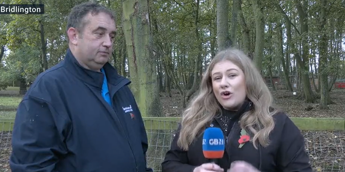NextImg:Animal Centre Manager shares top tips on how to keep pets safe on Bonfire Night