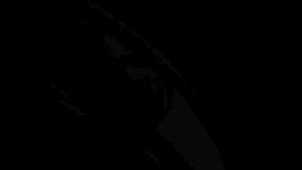 animated GIF of Christophe Duchamp watches shown off