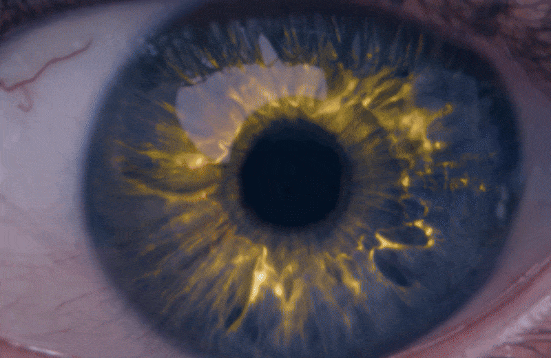 animated GIF of Demi Moore and Margaret Qualley in The Substance, an exclusive film to MUBI