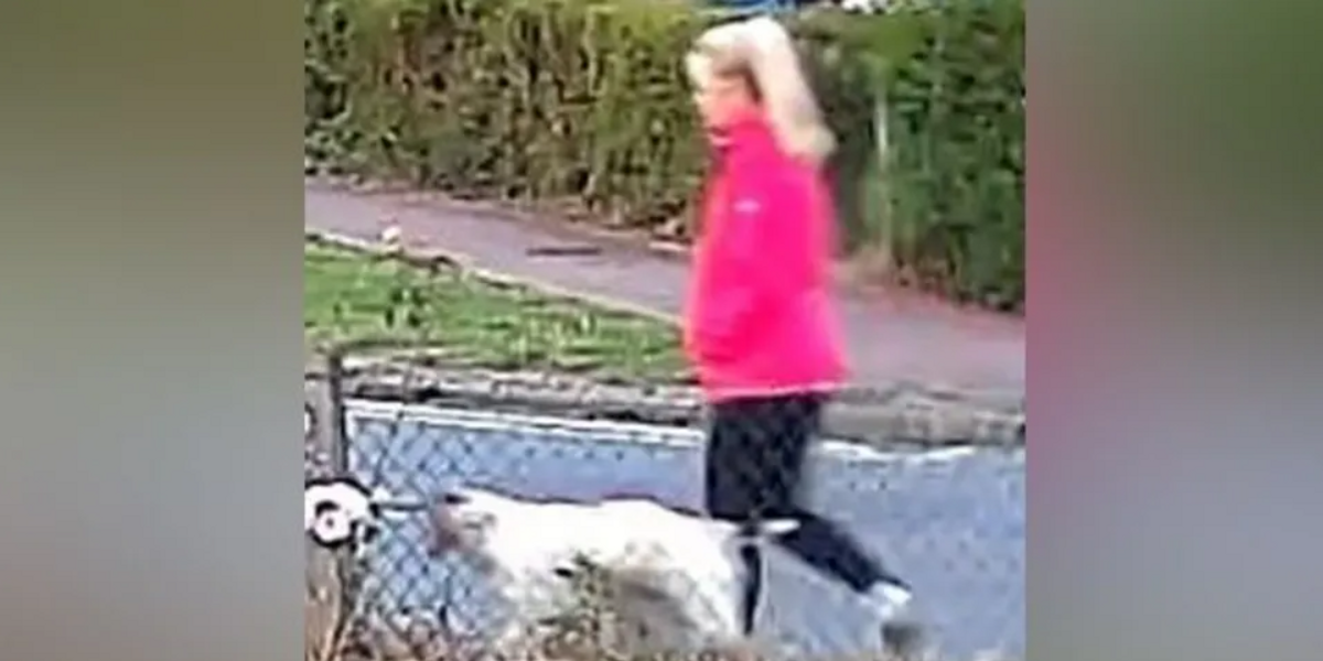 NextImg:Man arrested for attempted murder after dog walker found seriously injured on remote country path