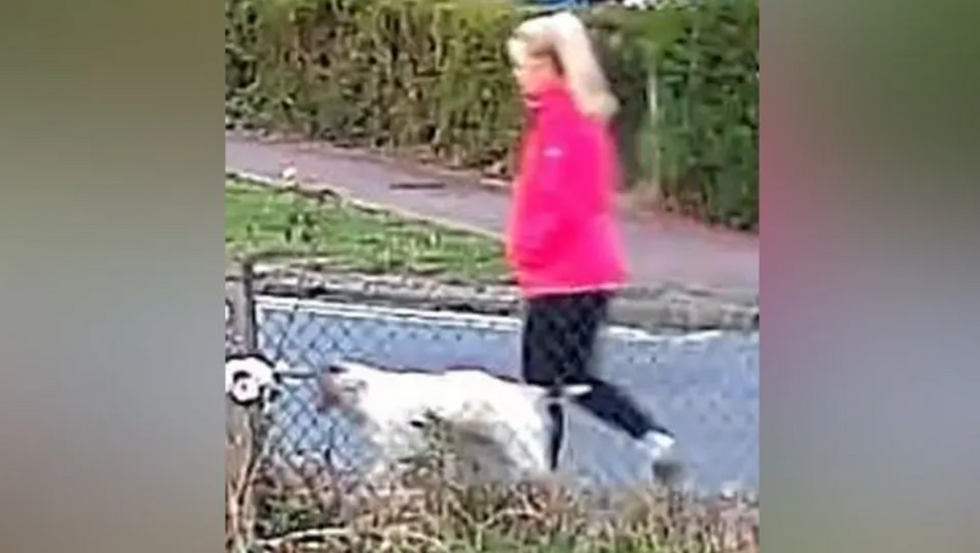 Anita Rose CCTV