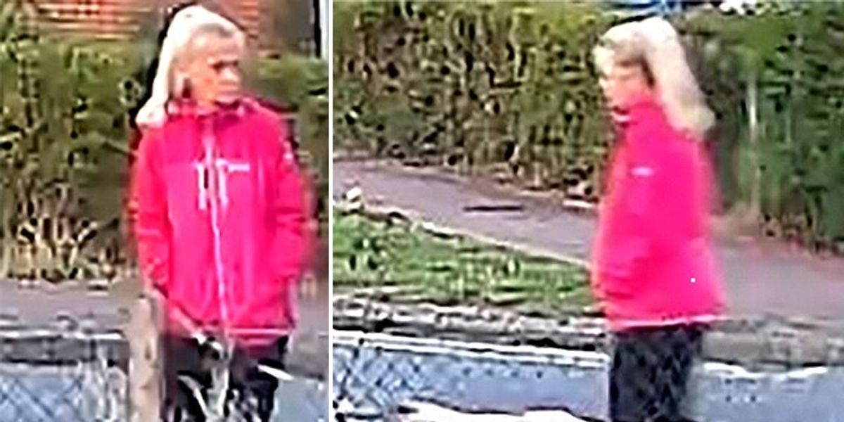 NextImg:Dog walker who was found on remote walking path dies in hospital