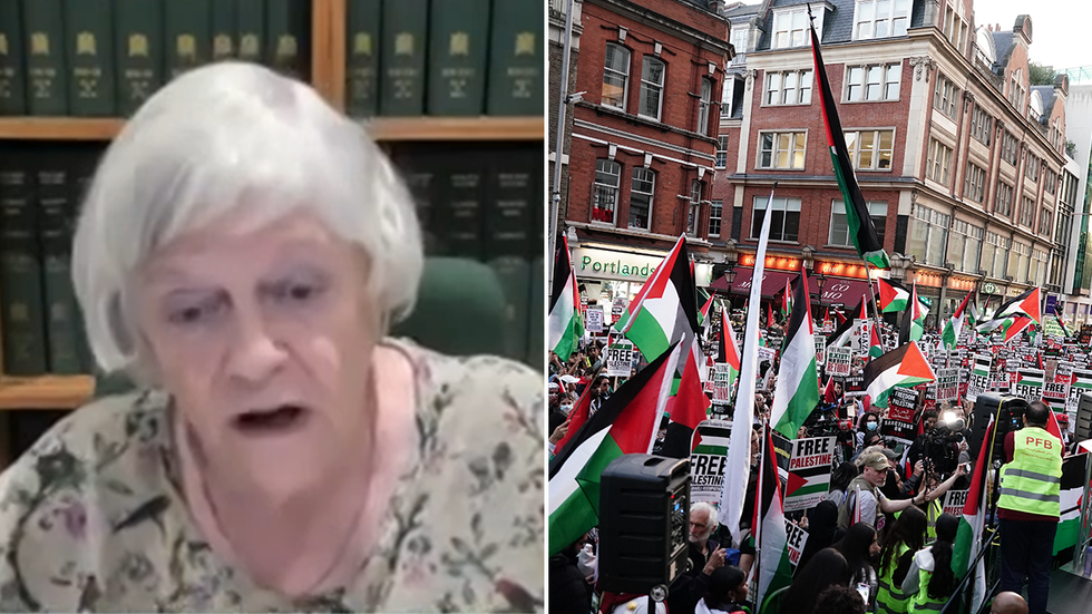 Ann Widdecombe and pro-Palestine protests in London