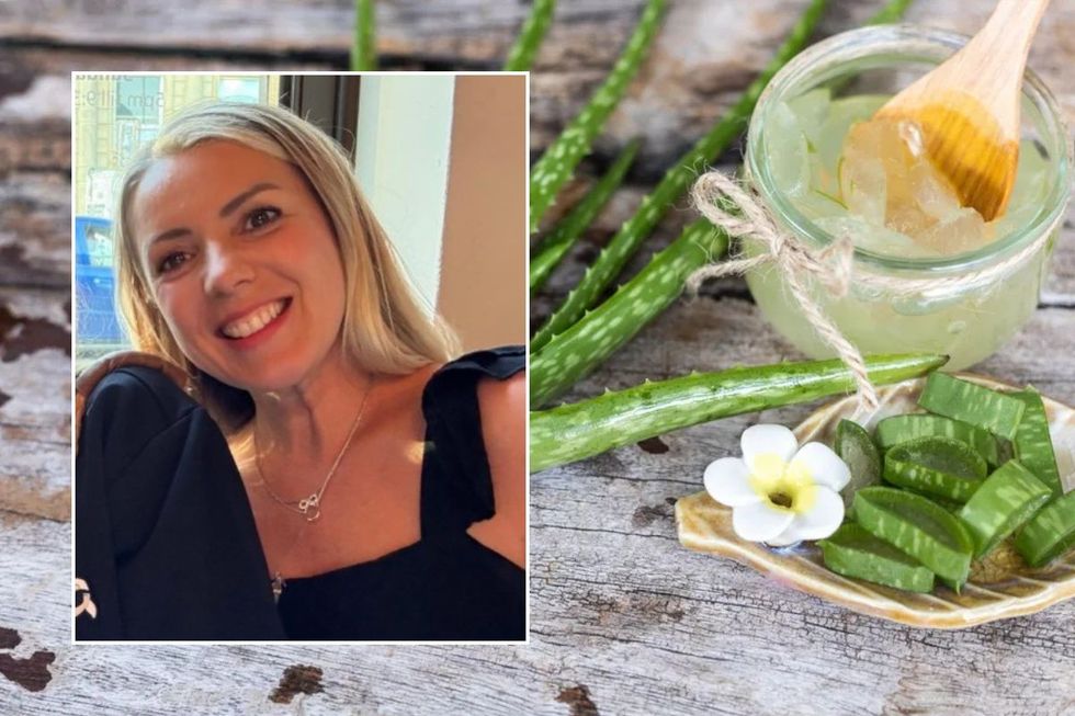 Anna Shears / Aloe vera