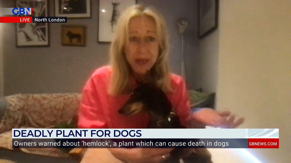 Anna Webb on GB News