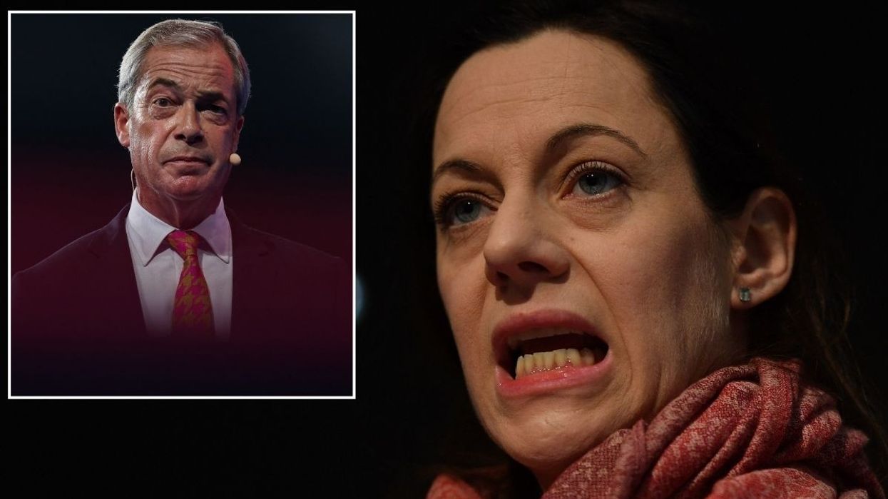 Annunziata Rees-Mogg shares major detail about working under ex-boss Nigel Farage
