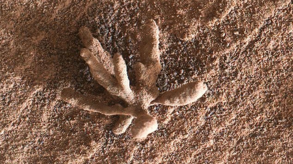 Another formation found