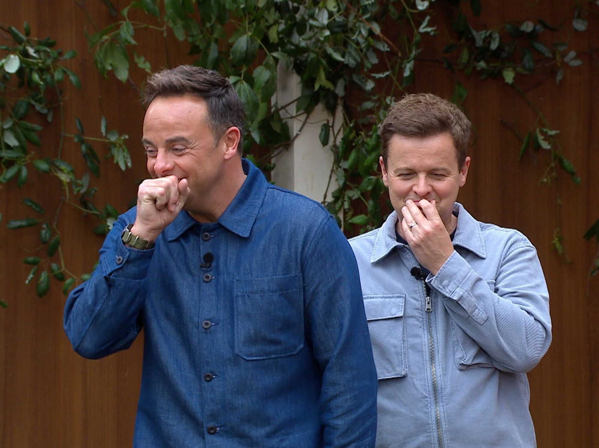 Ant and Dec