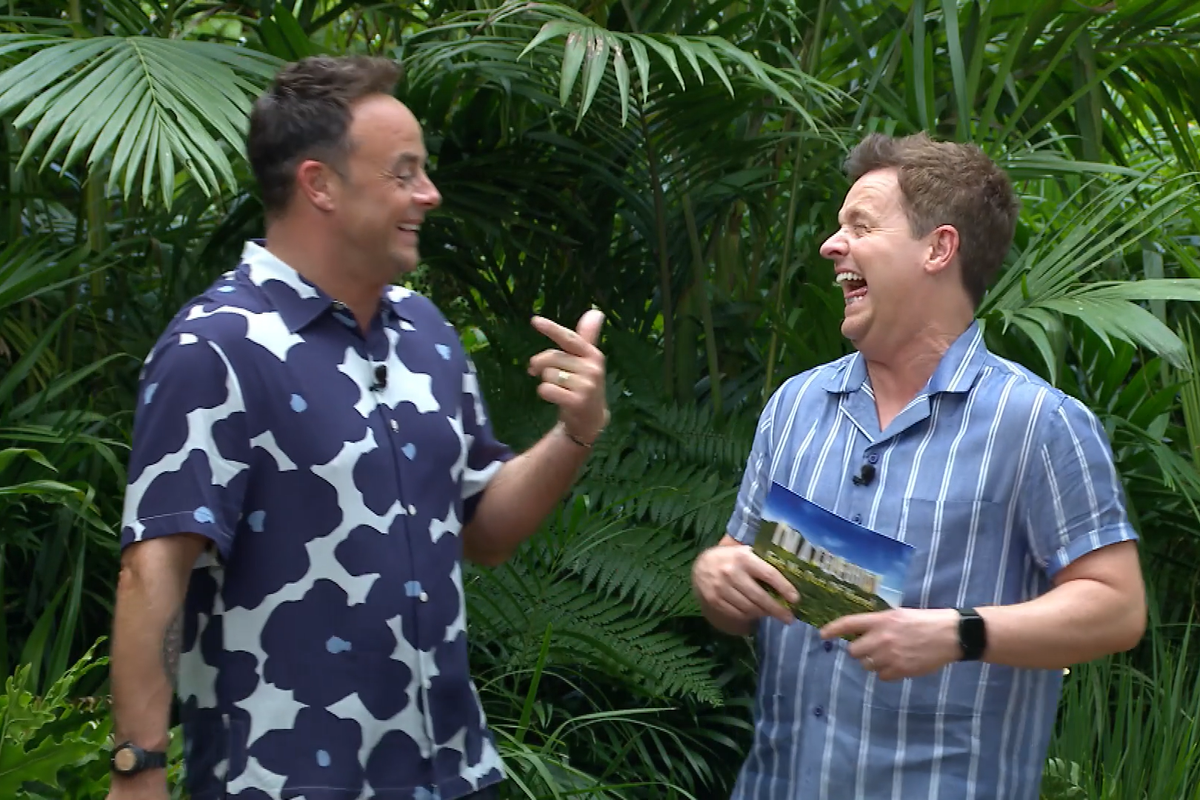 Ant and Dec