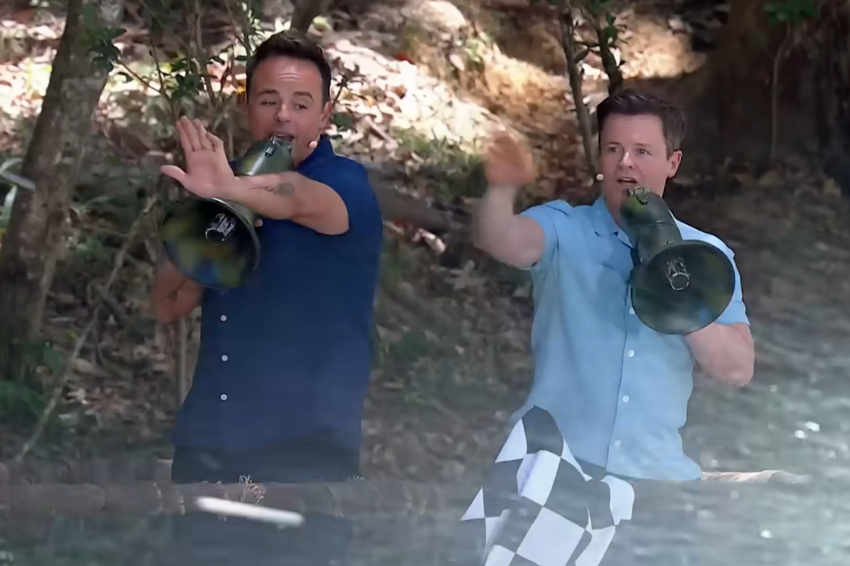 Ant and Dec