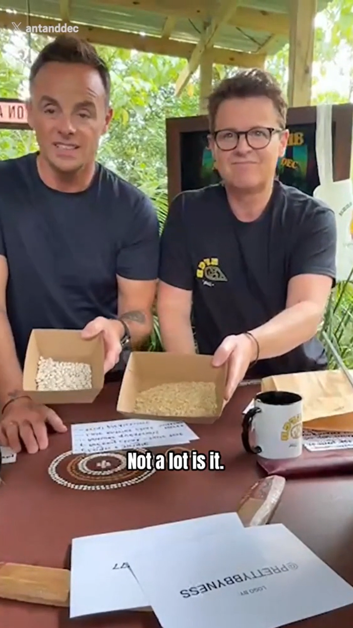 Ant McPartlin and Declan Donnelly