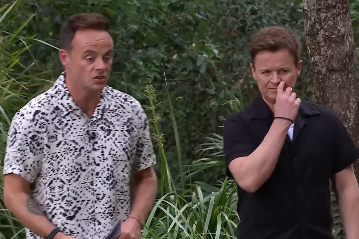 Ant McPartlin and Declan Donnelly