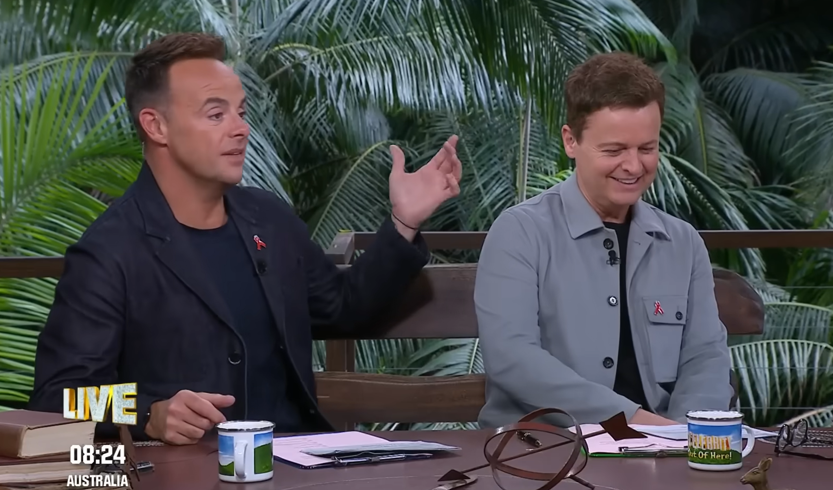 Ant McPartlin and Declan Donnelly