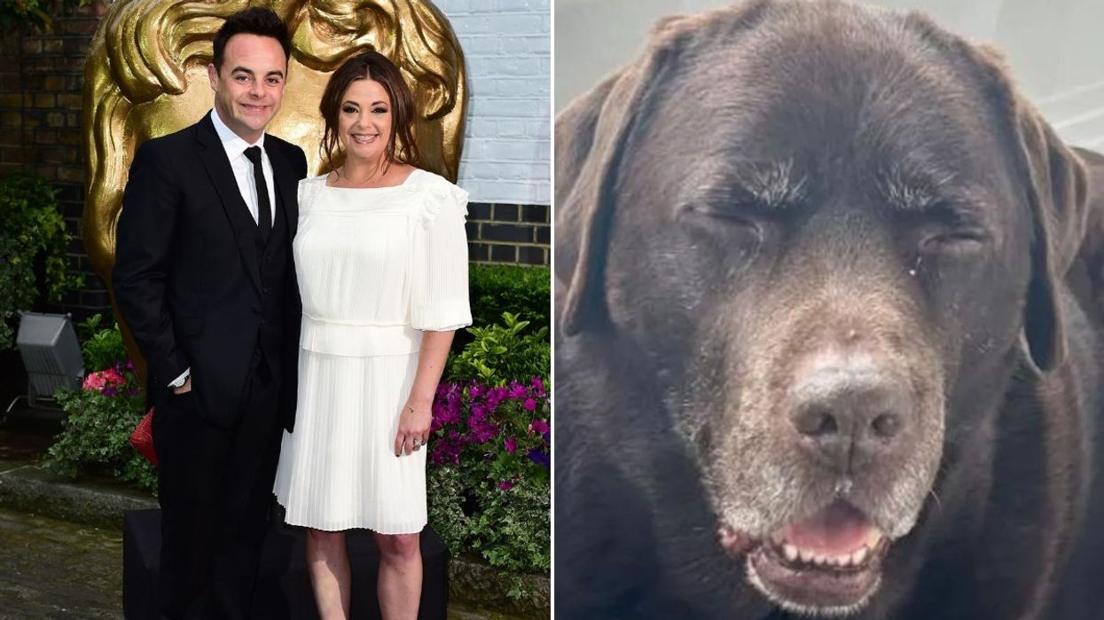 Ant McPartlin, Lisa Armstrong and Hurley