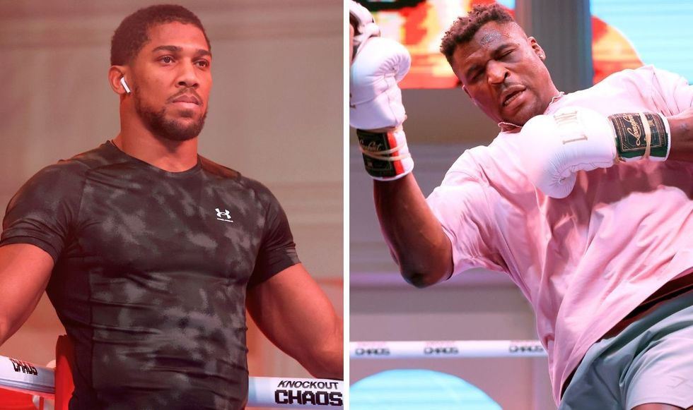 Anthony Joshua and Francis Ngannou