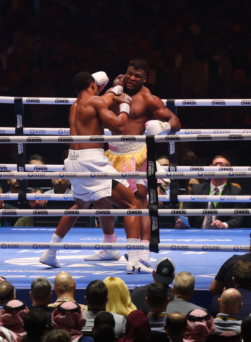 Anthony Joshua Francis Ngannou