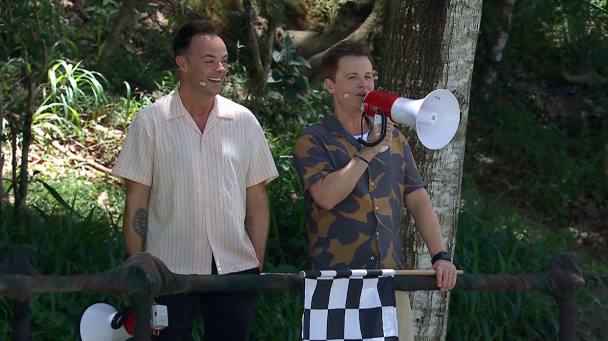 Anthony McPartlin and Declan Donnelly