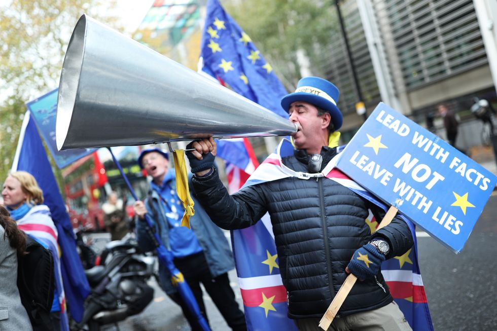 Anti-Brexit protestor Steve Bray