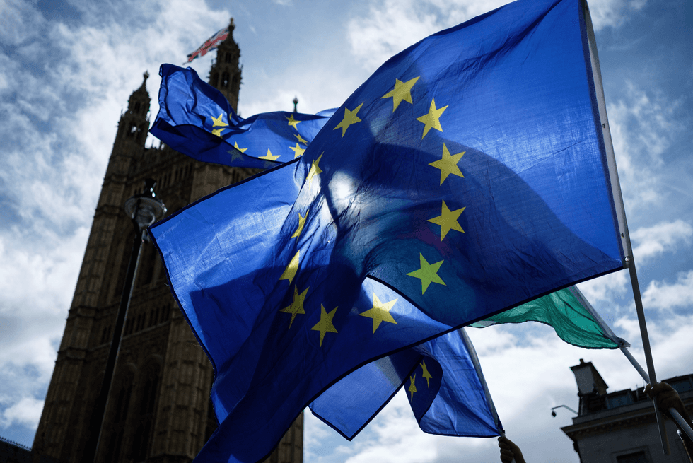 Anti-EU protestors gather outside Parliament