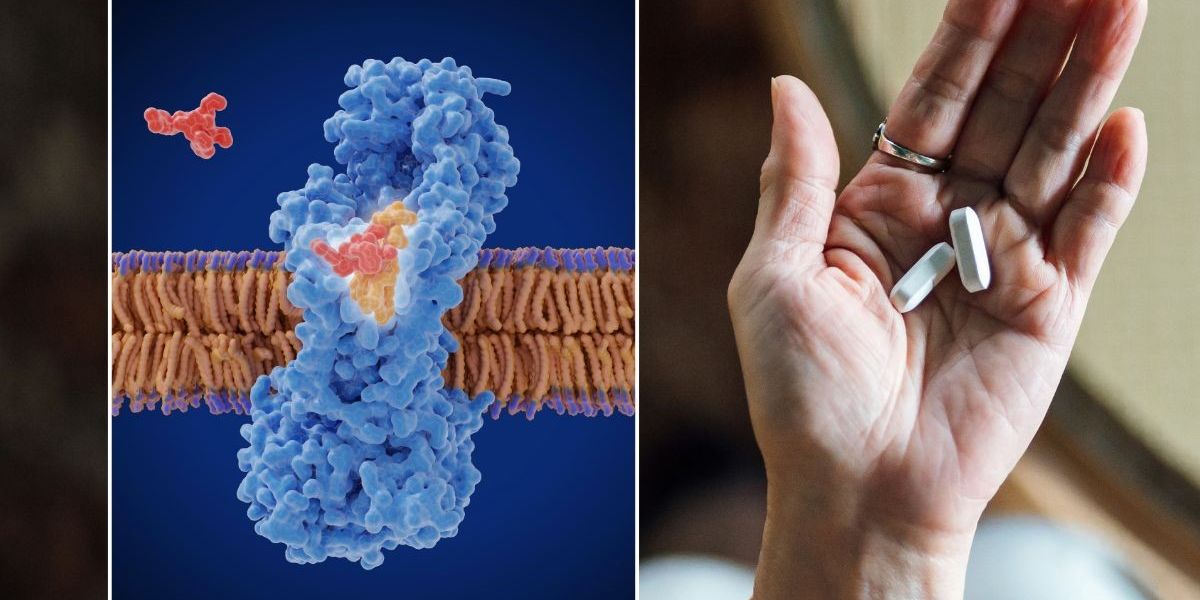 NextImg:First new antibiotic in 50 years enters final tests to fight deadly superbug