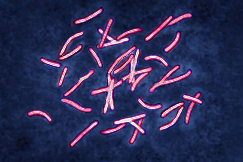 Antibiotic resistant microbes