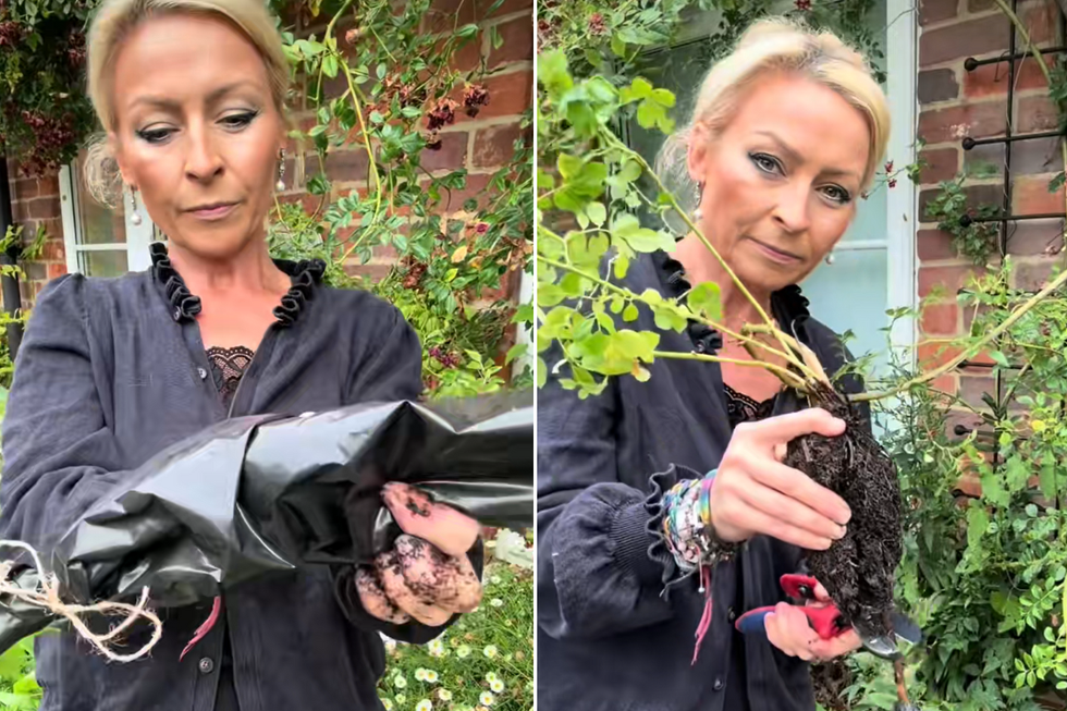Anya demonstrating how to propagate