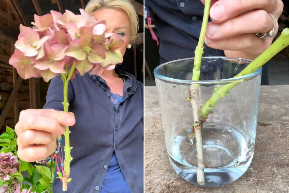 Anya demonstrating the drying method